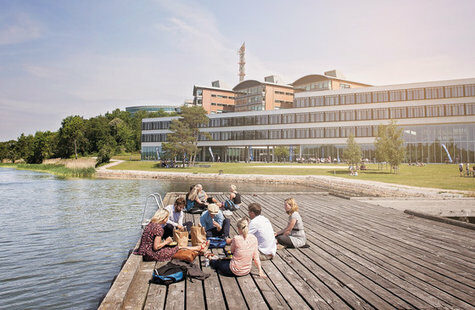 Students on a pier